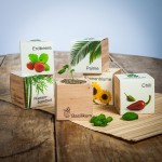 Eco Cube varie