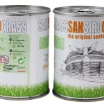 San Siro Stadium grass