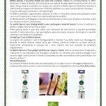 Matita Sprout - La Matita con Semi Sprout Pencil Description