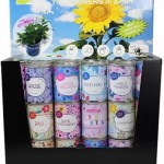 Flowers in a can for greetings